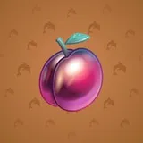 Precious Peach #1574