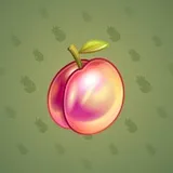 Precious Peach #1731