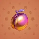 Precious Peach #1845