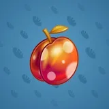 Precious Peach #2084