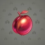 Precious Peach #2496