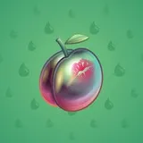 Precious Peach #2777