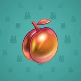 Precious Peach #2788