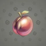 Precious Peach #2799