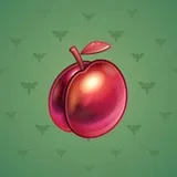 Precious Peach #2804