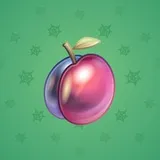 Precious Peach #2887