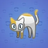 Scared Cat #17964