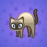 Scared Cat #18318