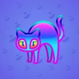 Scared Cat #18373