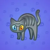 Scared Cat #18714