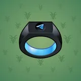 Signet Ring #13179