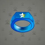 Signet Ring #13389