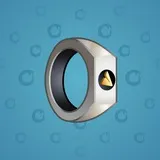 Signet Ring #13537