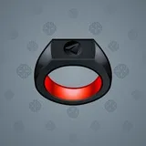 Signet Ring #13545
