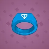 Signet Ring #13658