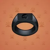 Signet Ring #13810