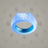 Signet Ring #13818