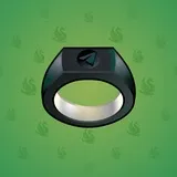 Signet Ring #13858