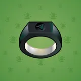 Signet Ring #13880