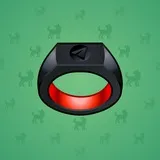 Signet Ring #13934