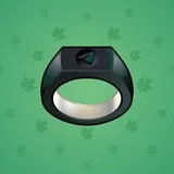 Signet Ring #13962