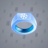 Signet Ring #13972