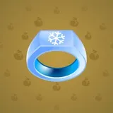 Signet Ring #14078