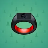 Signet Ring #14425