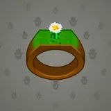 Signet Ring #14466