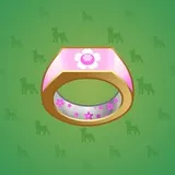 Signet Ring #14485