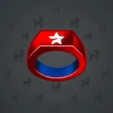 Signet Ring #14637
