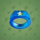 Signet Ring #14777