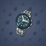 Swiss Watch #21776