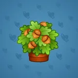 Lush Bouquet #201