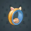 Bonded Ring #625