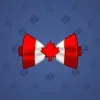 Bow Tie #107