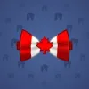 Bow Tie #115