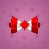 Bow Tie #1674