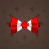 Bow Tie #2207