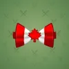 Bow Tie #2307
