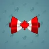 Bow Tie #2331