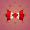 Bow Tie #2362