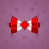 Bow Tie #2493