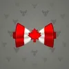 Bow Tie #2509