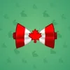 Bow Tie #2540