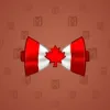 Bow Tie #2876
