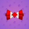 Bow Tie #3251