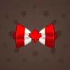 Bow Tie #3343