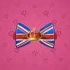 Bow Tie #3603
