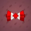 Bow Tie #4011